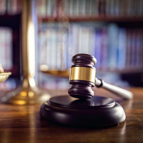 Studio Cesco - Studio Cesco