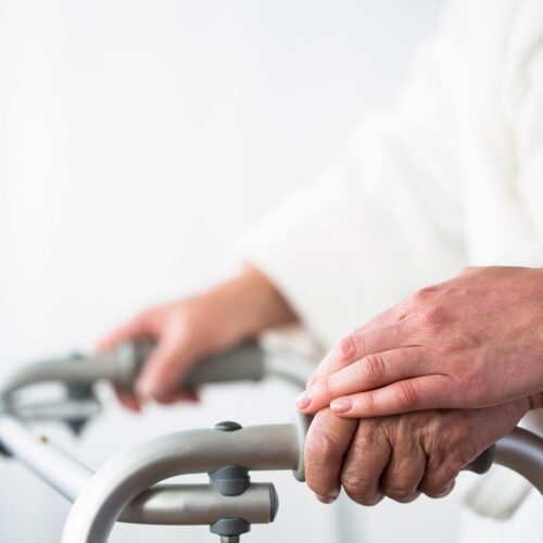 Studio Cesco - News e Tutorial